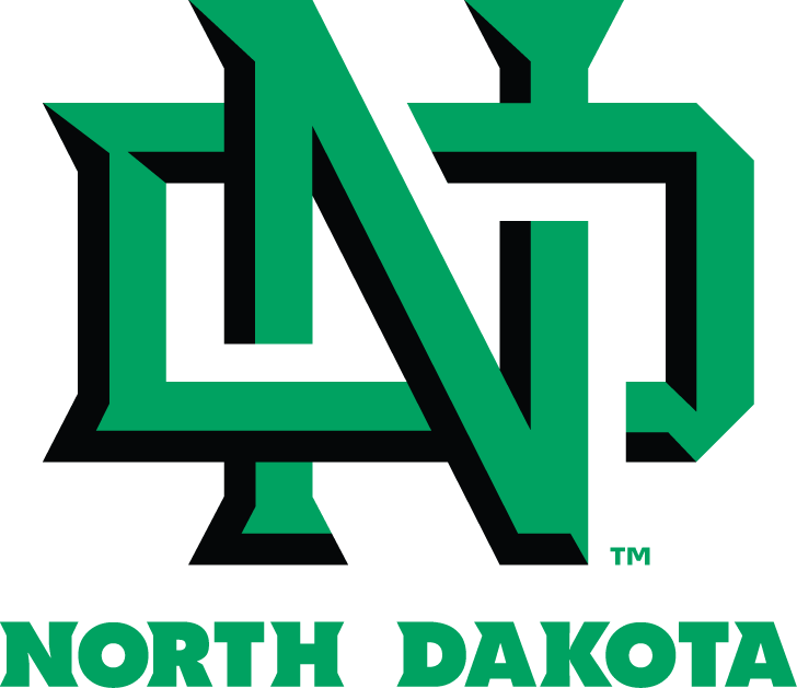 North Dakota Fighting Hawks 2012-2015 Primary Logo DIY iron on transfer (heat transfer)